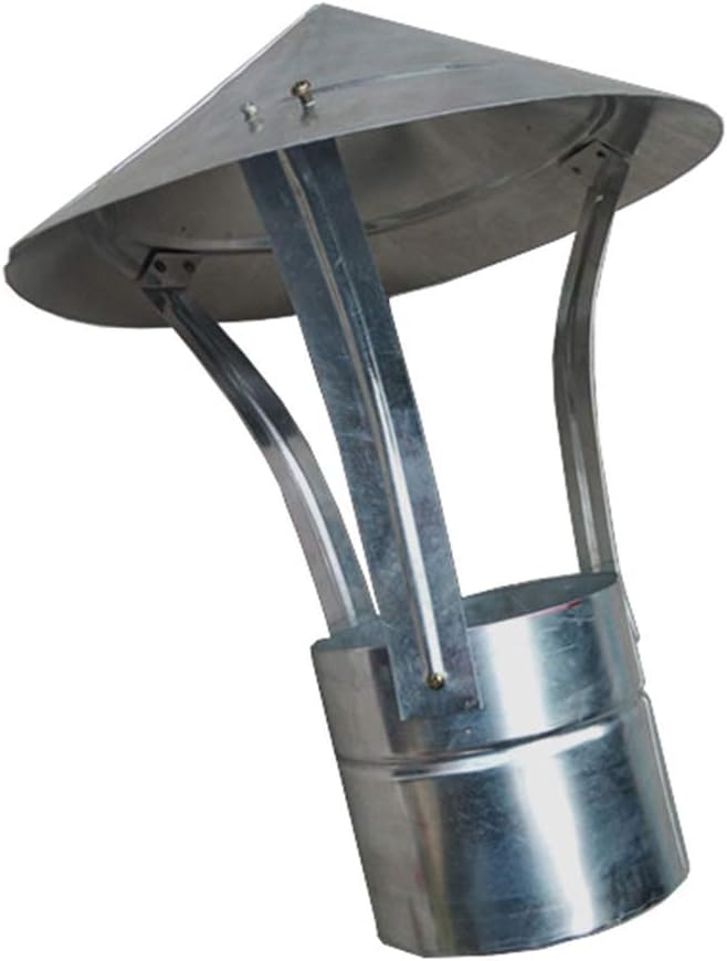 ROYAL SALISBURY ディナープレート 大皿 5枚